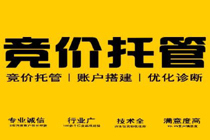 百度SEM竞价推广实战技巧，案例解析