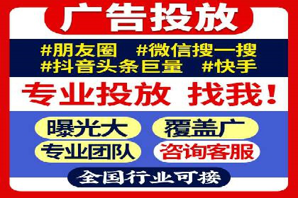竞价广告在XX行业的成功应用案例